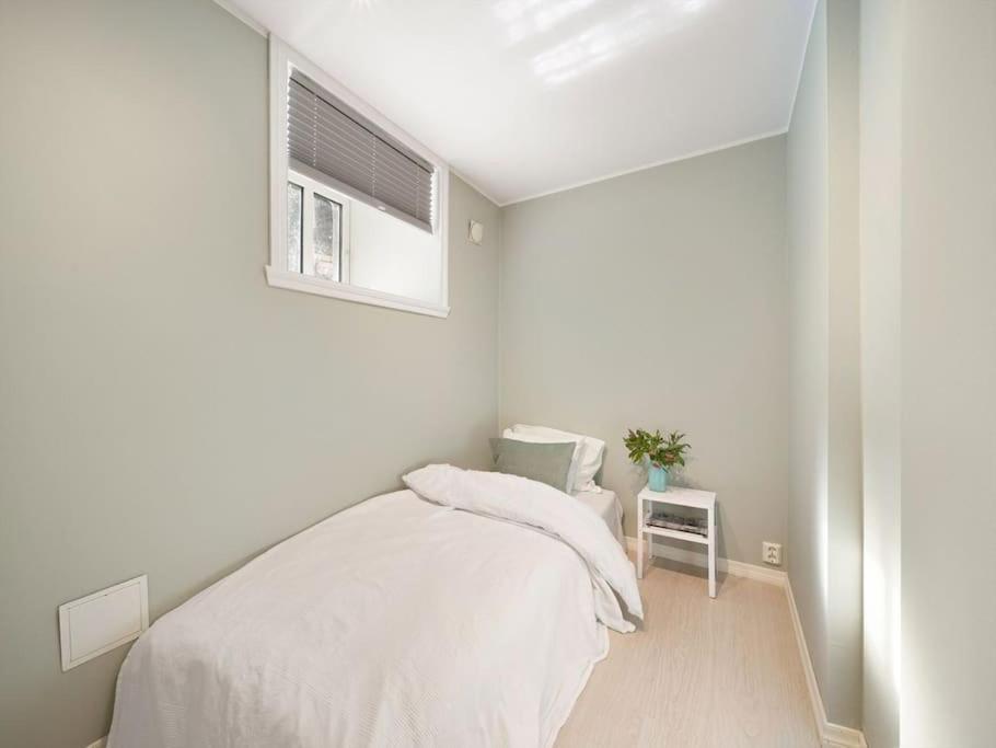 Stor I Sentrum! Appartement
